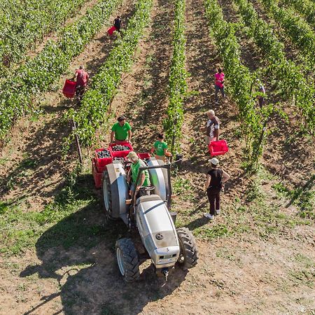 Il Querciolo - Azienda Biologica, Agriturismo E Cantina Marciano della Chiana Екстериор снимка