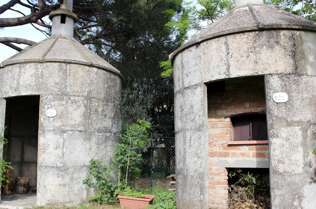 Il Querciolo - Azienda Biologica, Agriturismo E Cantina Marciano della Chiana Екстериор снимка