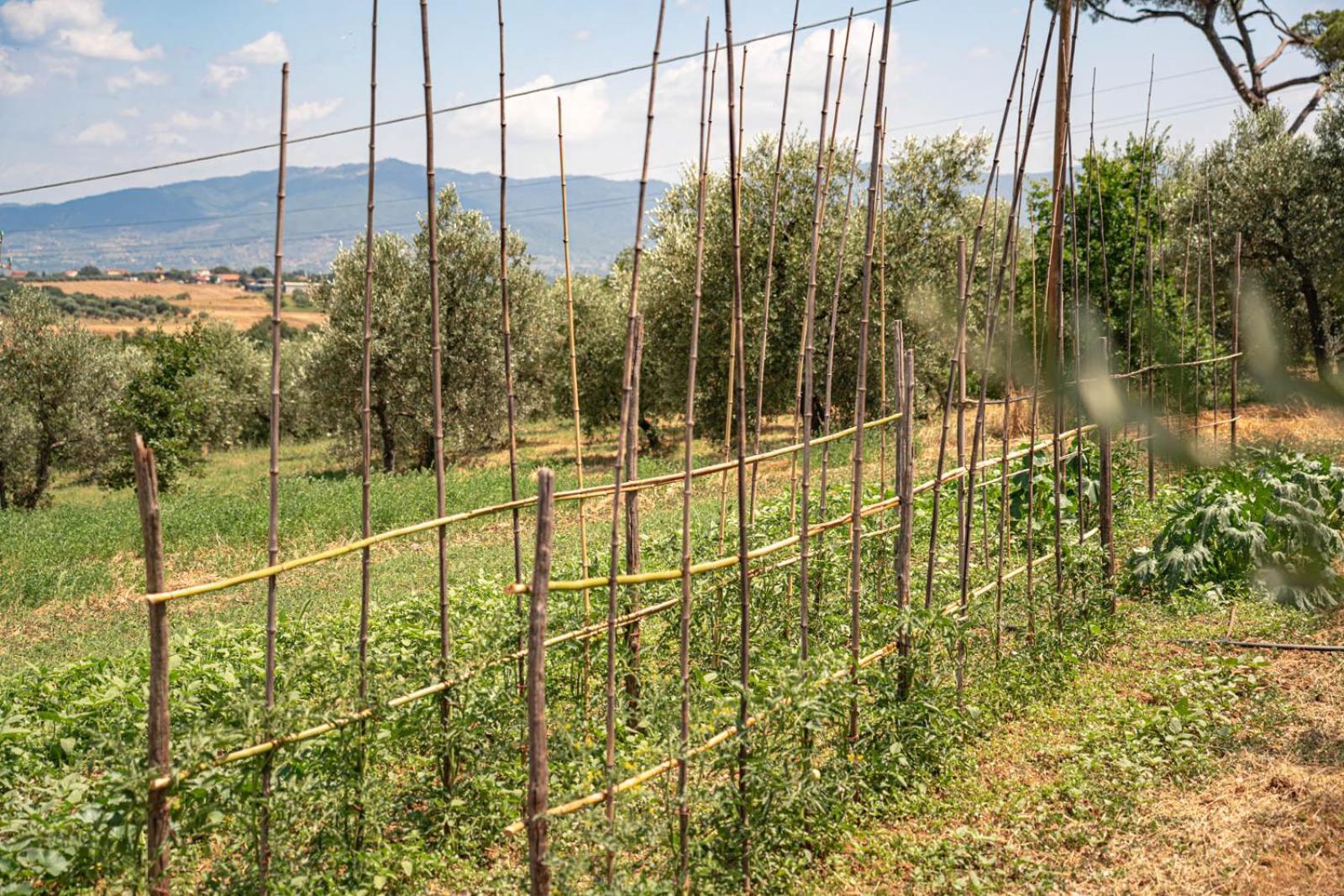 Il Querciolo - Azienda Biologica, Agriturismo E Cantina Marciano della Chiana Екстериор снимка