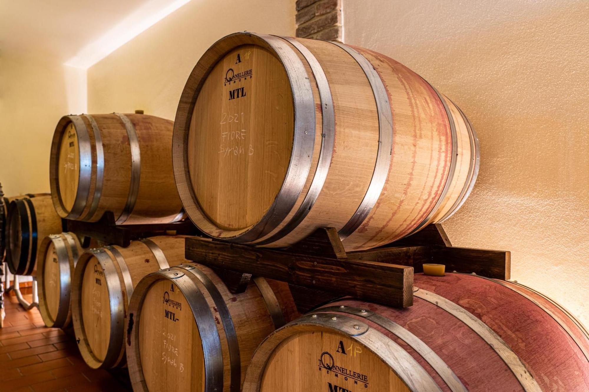 Il Querciolo - Azienda Biologica, Agriturismo E Cantina Marciano della Chiana Екстериор снимка